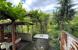 Casa individuala, 138 mp, zonă superbă de case, Lunei