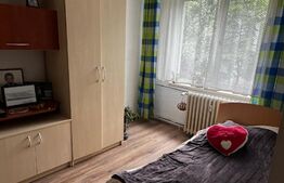 Apartament de 3 camere, decomandat, PET-FRIENDLY, zona Dacia