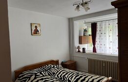 Apartament de 3 camere, decomandat, PET-FRIENDLY, zona Dacia