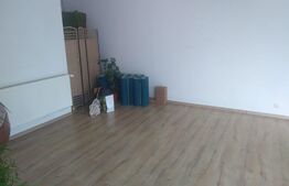 Studio de 35 mp, parter, zona Mircea cel Batran