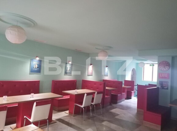 Spațiu comercial de vânzare Central - 117284SVC | BLITZ Timișoara | Poza11
