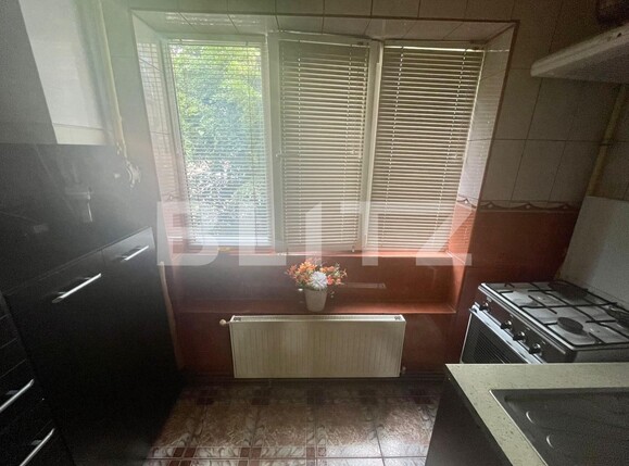 Apartament de vânzare 2 camere Aradului - 117317AV | BLITZ Timișoara | Poza11