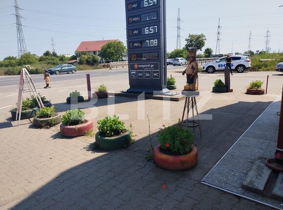 Spațiu comercial de vânzare Buziasului - 117439SVC | BLITZ Timișoara | Poza8