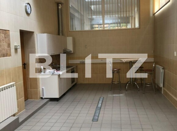 Spațiu comercial de închiriat Olimpia-Stadion - 117553SIC | BLITZ Timișoara | Poza5