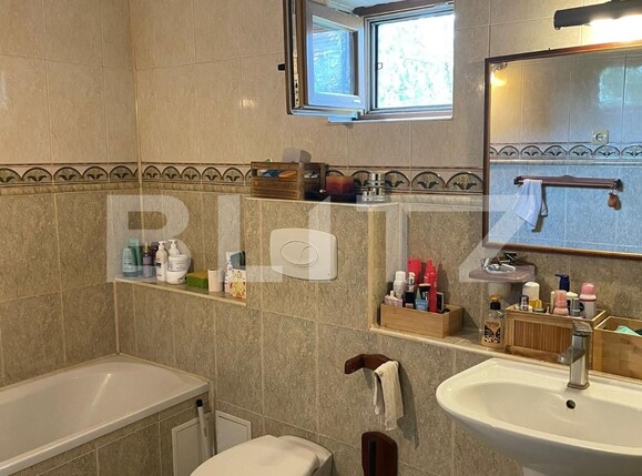 Casa de vânzare 5 camere Dumbravita - 117646CV | BLITZ Timișoara | Poza11