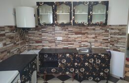 Apartament de 2 camere, zona centrala, mobilat, 55mp