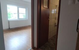 Apartament 3 camere, 65mp, renovat,Calea Aradului 