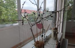 Apartament 3 camere, 65mp, renovat,Calea Aradului 