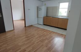 Apartament 3 camere, 65mp, renovat,Calea Aradului 