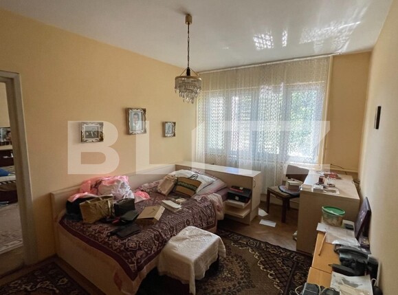 Casa de vânzare 6 camere Elisabetin - 117822CV | BLITZ Timișoara | Poza13