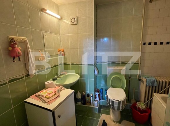 Casa de vânzare 6 camere Elisabetin - 117822CV | BLITZ Timișoara | Poza11