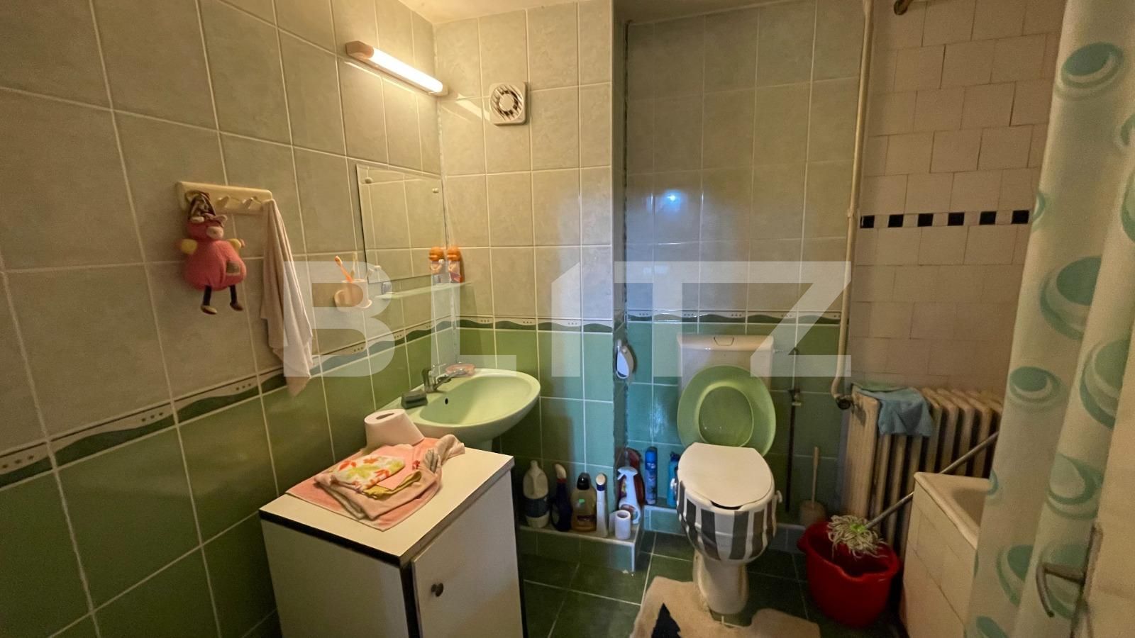 Casa de vânzare 6 camere Elisabetin - 117822CV | BLITZ Timișoara | Poza11