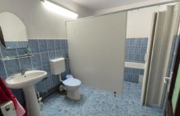 Casa de Vanzare, zona Olimpia-Stadion Timisoara cu potențial pentru locuit si afaceri