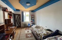 Casa de Vanzare, zona Olimpia-Stadion Timisoara cu potențial pentru locuit si afaceri