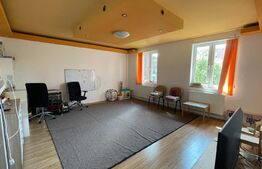 Casa de Vanzare, zona Olimpia-Stadion Timisoara cu potențial pentru locuit si afaceri