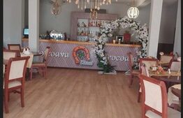 Pensiune - restaurant  in  Ortisoara 