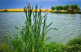  Baza de agrement, restaurant si camping