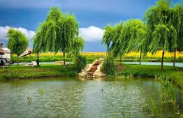  Baza de agrement, restaurant si camping