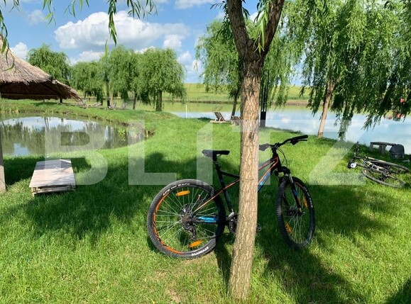 Casa de vânzare 1 camera Orţişoara - 117958CV | BLITZ Timișoara | Poza17