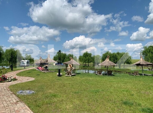 Casa de vânzare 1 camera Orţişoara - 117958CV | BLITZ Timișoara | Poza21