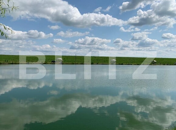 Casa de vânzare 1 camera Orţişoara - 117958CV | BLITZ Timișoara | Poza16