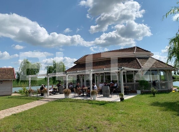 Casa de vânzare 1 camera Orţişoara - 117958CV | BLITZ Timișoara | Poza13