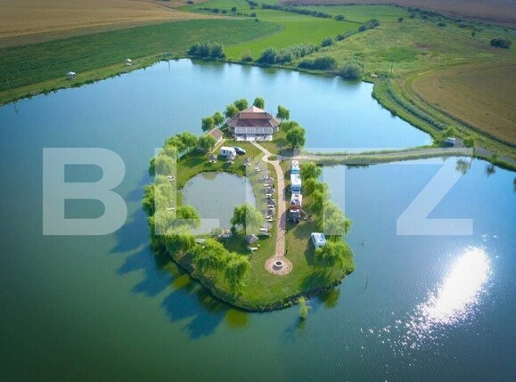 Casa de vânzare 1 camera Orţişoara - 117958CV | BLITZ Timișoara | Poza1