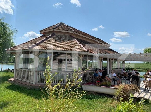 Casa de vânzare 1 camera Orţişoara - 117958CV | BLITZ Timișoara | Poza8