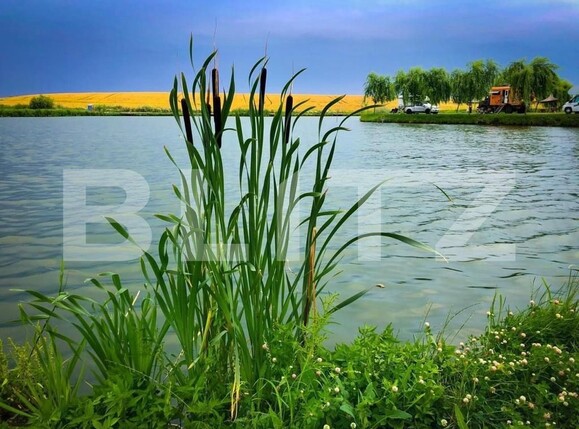 Casa de vânzare 1 camera Orţişoara - 117958CV | BLITZ Timișoara | Poza3