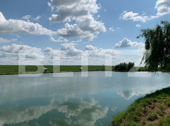 Casa de vânzare 1 camera Orţişoara - 117958CV | BLITZ Timișoara | Poza15