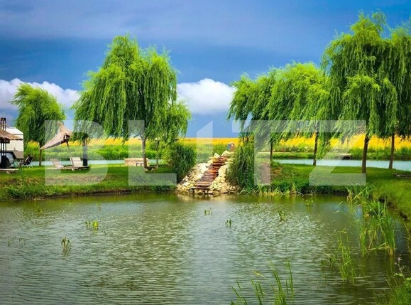 Casa de vânzare 1 camera Orţişoara - 117958CV | BLITZ Timișoara | Poza4