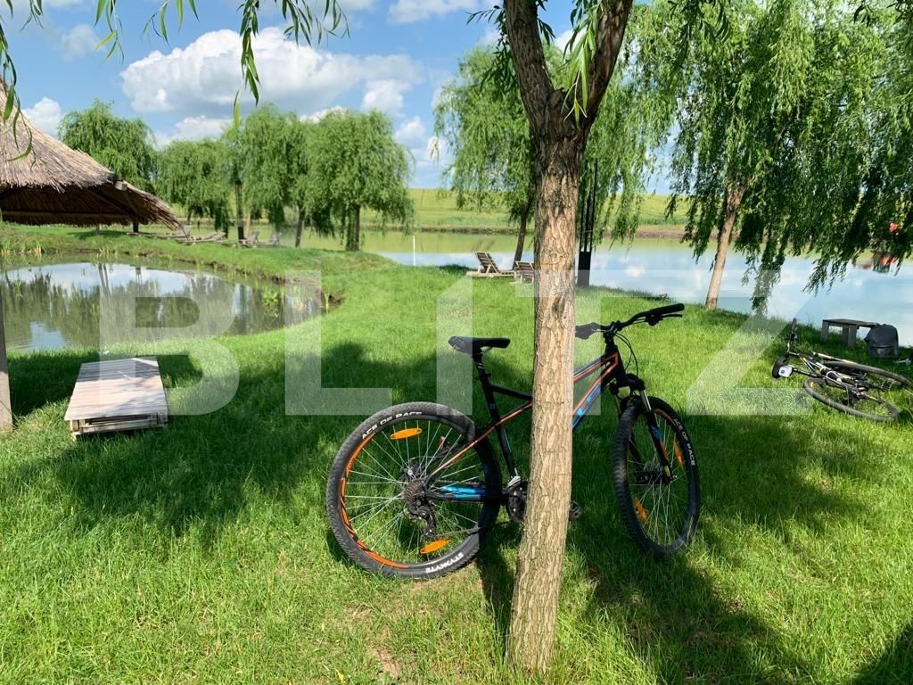 Casa de vânzare 1 camera Orţişoara - 117958CV | BLITZ Timișoara | Poza17