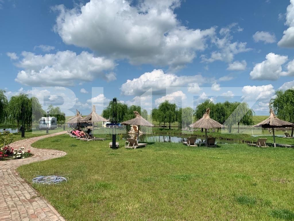 Casa de vânzare 1 camera Orţişoara - 117958CV | BLITZ Timișoara | Poza21