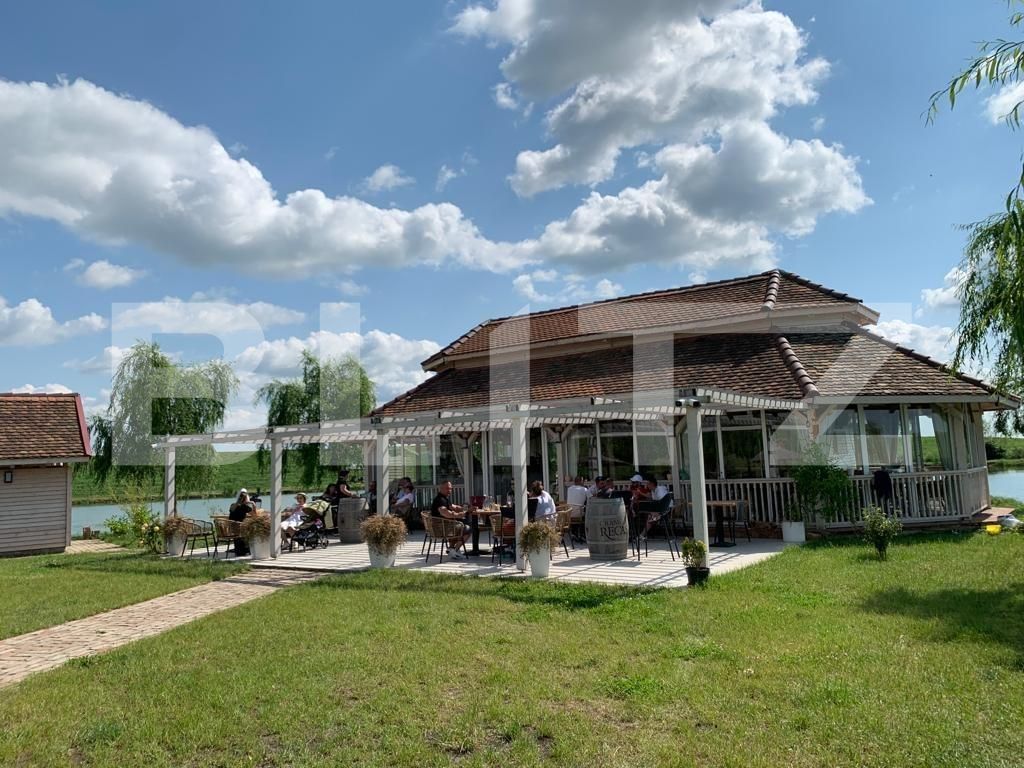 Casa de vânzare 1 camera Orţişoara - 117958CV | BLITZ Timișoara | Poza13