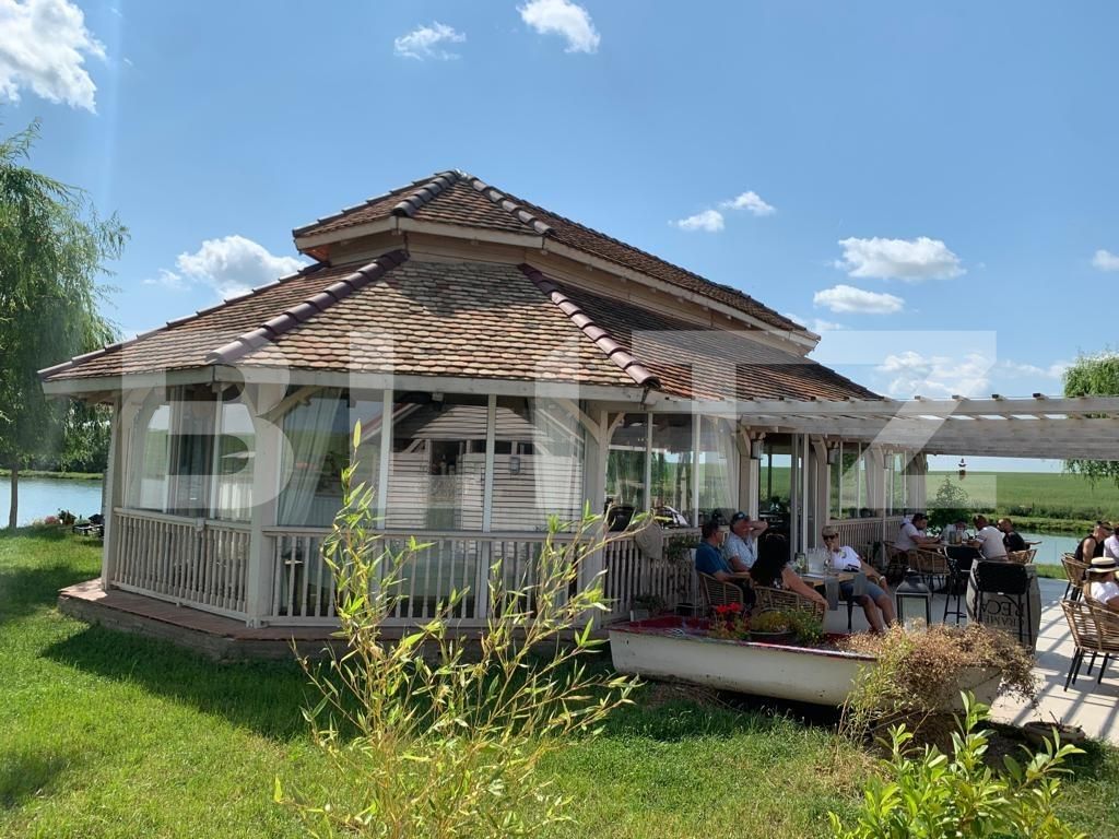 Casa de vânzare 1 camera Orţişoara - 117958CV | BLITZ Timișoara | Poza8