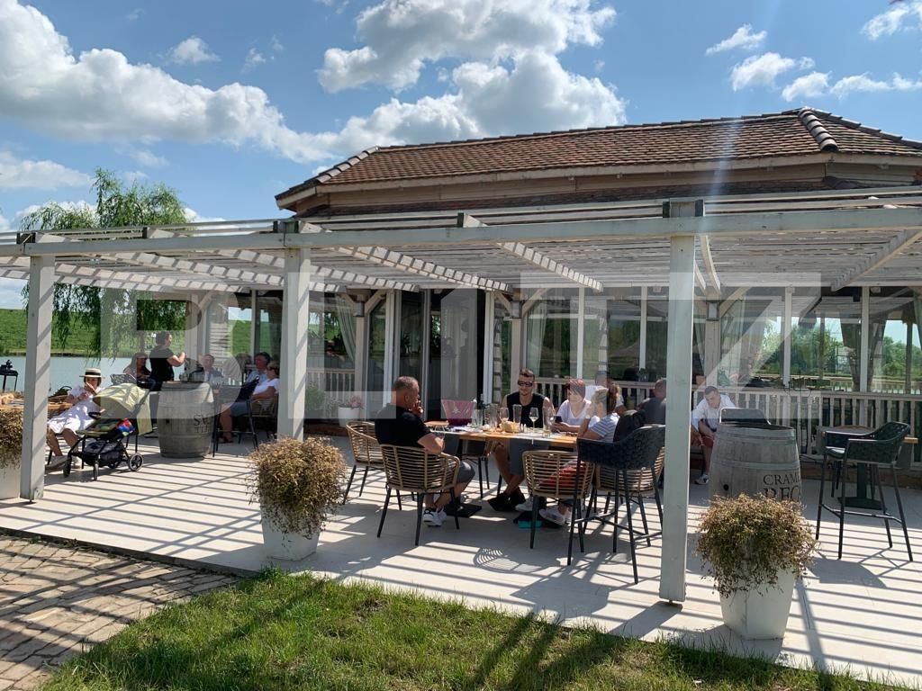 Casa de vânzare 1 camera Orţişoara - 117958CV | BLITZ Timișoara | Poza12