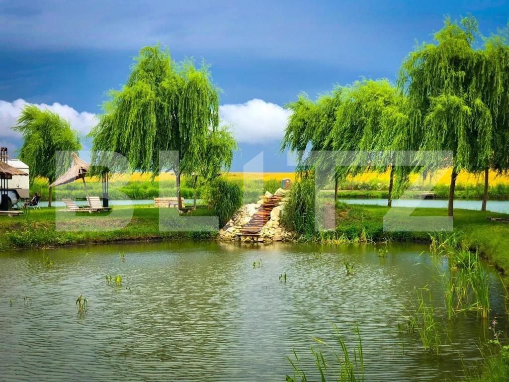 Casa de vânzare 1 camera Orţişoara - 117958CV | BLITZ Timișoara | Poza4