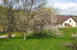 Casa de vacanta, zona Cheile Nerei, Caras Severin!