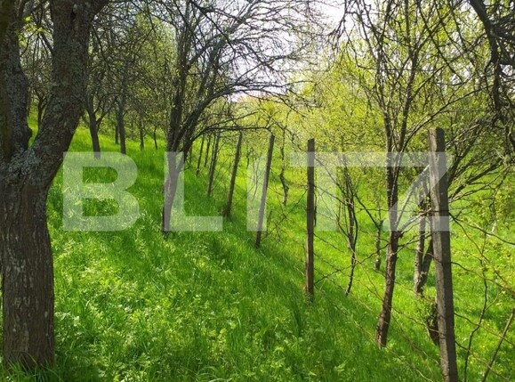 Casa de vânzare 4 camere Exterior Sud - 118191CV | BLITZ Timișoara | Poza18