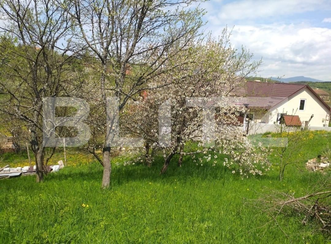 Casa de vânzare 4 camere Exterior Sud - 118191CV | BLITZ Timișoara | Poza17