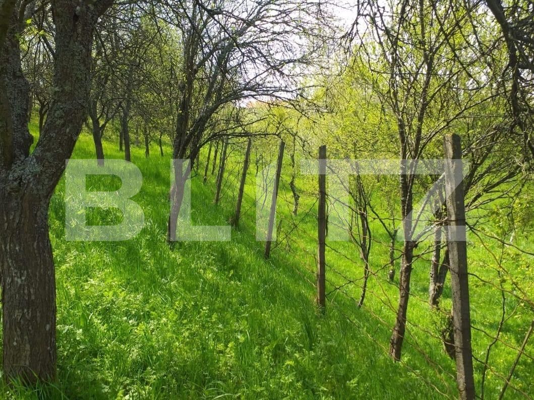 Casa de vânzare 4 camere Exterior Sud - 118191CV | BLITZ Timișoara | Poza18