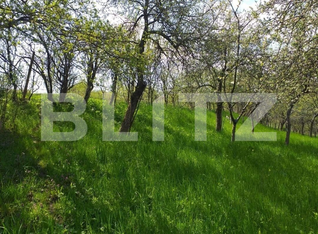 Casa de vânzare 4 camere Exterior Sud - 118191CV | BLITZ Timișoara | Poza16