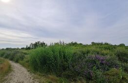 Teren intravilan, 605 mp, Calea Mosnitei (Plopi)