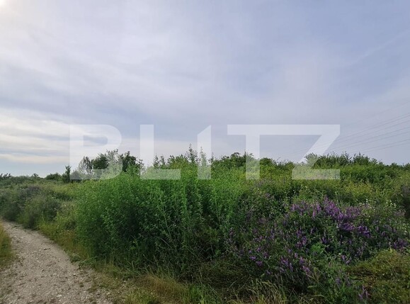 Teren de vânzare Plopi - 118285TV | BLITZ Timișoara | Poza1