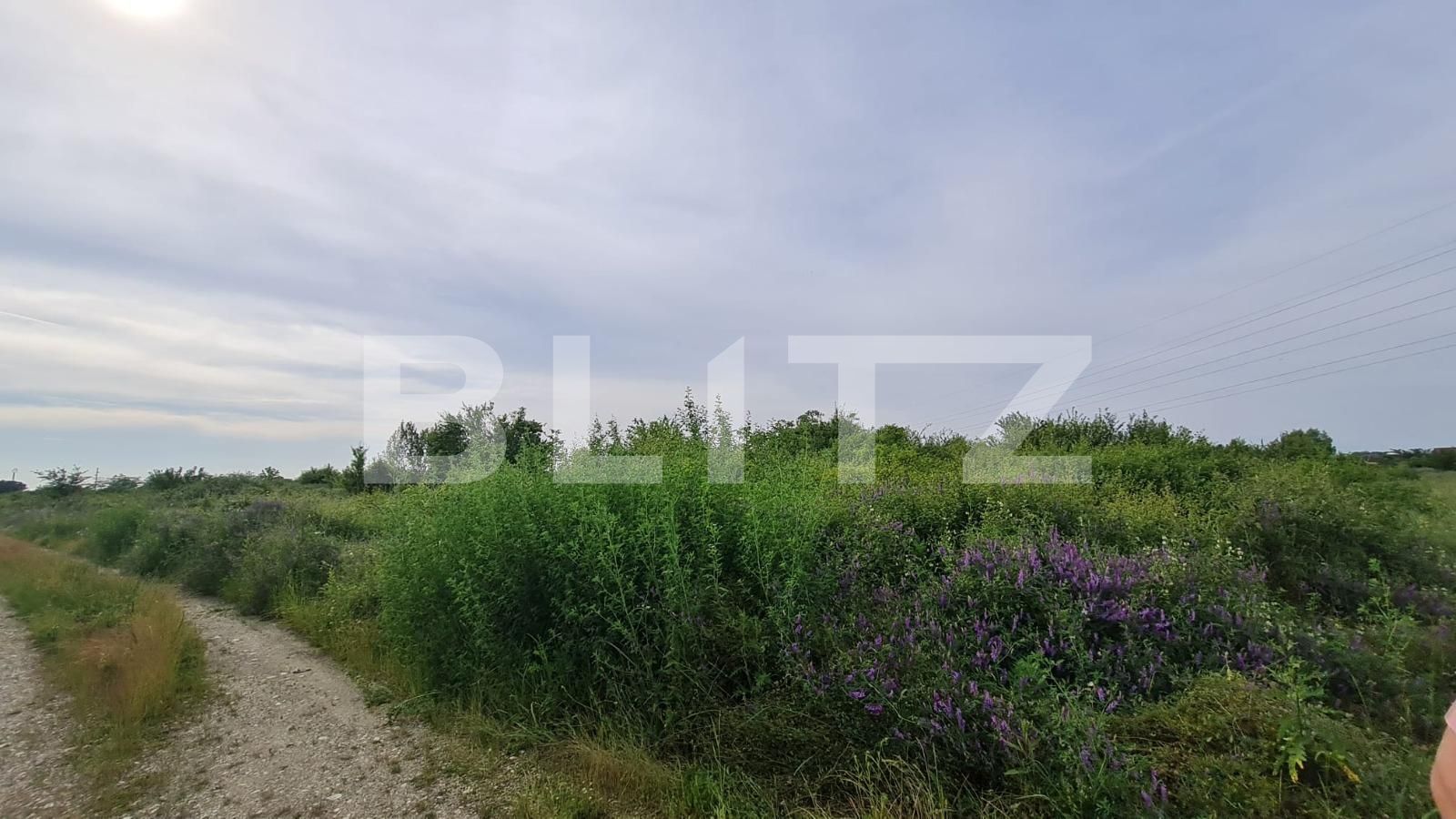 Teren de vânzare Plopi - 118285TV | BLITZ Timișoara | Poza1