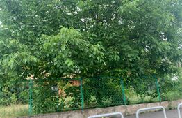 Teren intravilan de 380 mp in Muzicescu-Sagului 