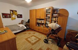 Apartament 3 camere, demisol plus parter, zona Balcescu
