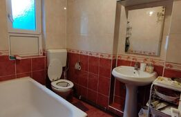 Apartament 3 camere, demisol plus parter, zona Balcescu