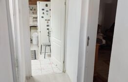 Apartament 3 camere, demisol plus parter, zona Balcescu