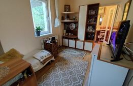 Apartament 3 camere, demisol plus parter, zona Balcescu